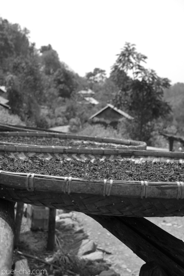 丁家老寨青餅2012年プーアル茶