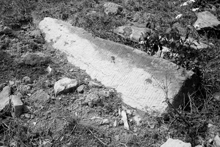 丁家老寨青餅2012年プーアル茶