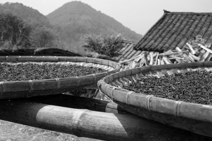 丁家老寨青餅2012年プーアル茶