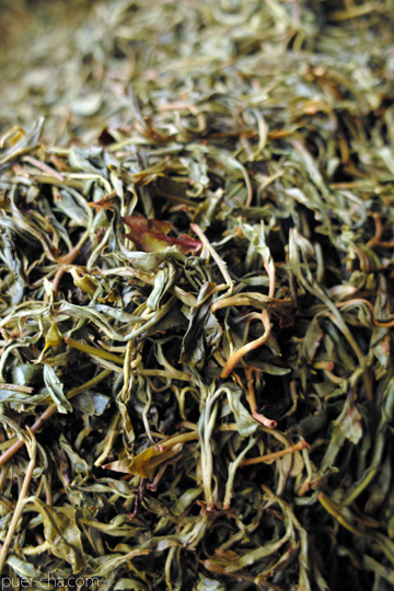 丁家老寨青餅2012年プーアル茶