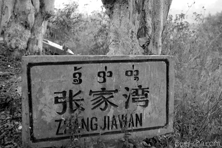 丁家老寨青餅2012年プーアル茶