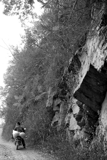 丁家老寨青餅2012年プーアル茶