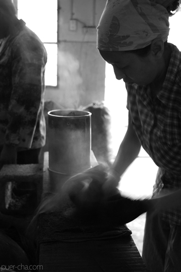 丁家老寨青餅2012年プーアル茶