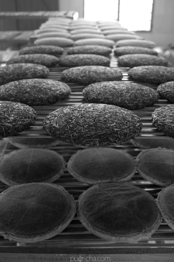 丁家老寨青餅2012年プーアル茶