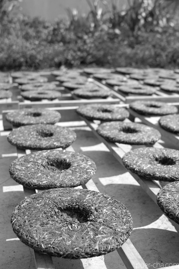 丁家老寨青餅2012年プーアル茶