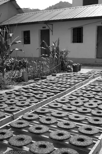 丁家老寨青餅2012年プーアル茶