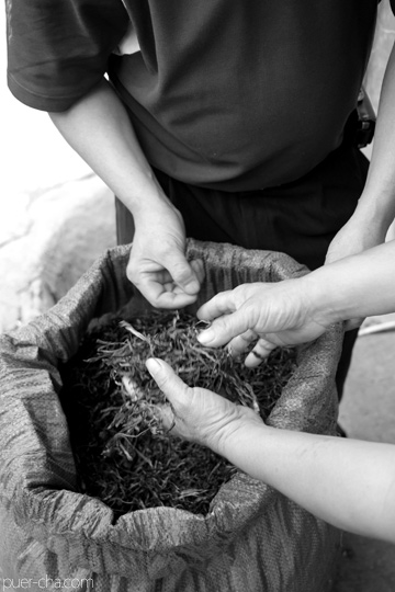 丁家老寨青餅2012年プーアル茶