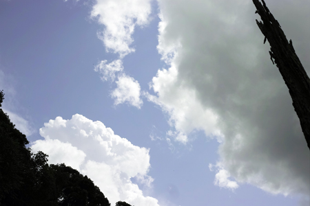 漫撒風道青餅2015年