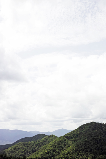 漫撒風道青餅2015年