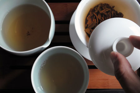 生茶のプーアール茶に蓋碗