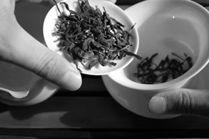 生茶のプーアール茶に蓋碗