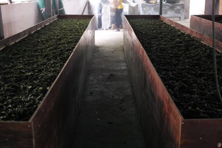 刮風生態紅餅2018年