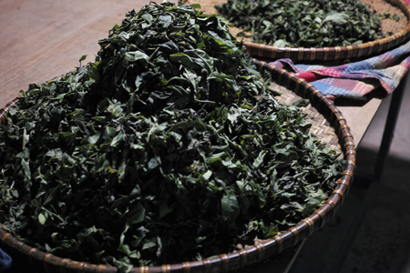 刮風生態紅餅2018年