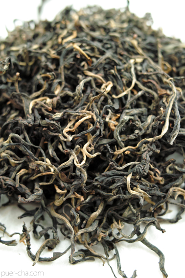 巴達古樹紅餅2010年紅茶づくり