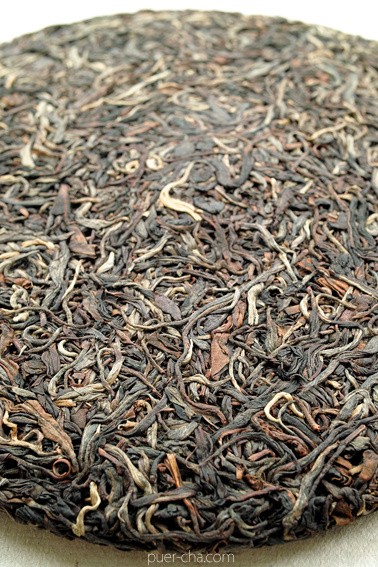 巴達古樹紅餅2010年紅茶づくり