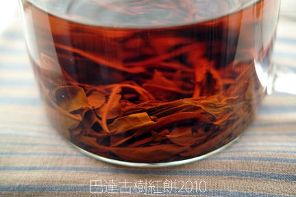 巴達古樹紅餅2010年紅茶づくり