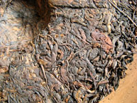 8892後期紅印圓茶