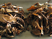 8892後期紅印圓茶と黄印7542七子餅茶