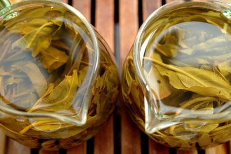 漫撒古樹青餅2013年プーアル茶