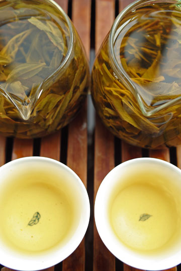 漫撒古樹青餅2013年プーアル茶