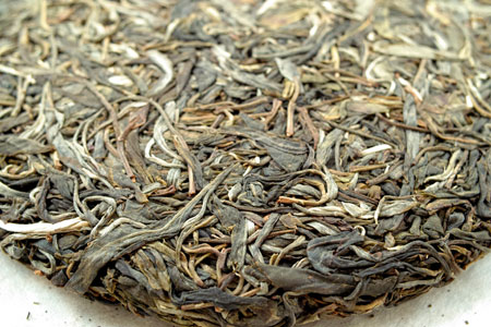 漫撒古樹青餅2013年プーアル茶