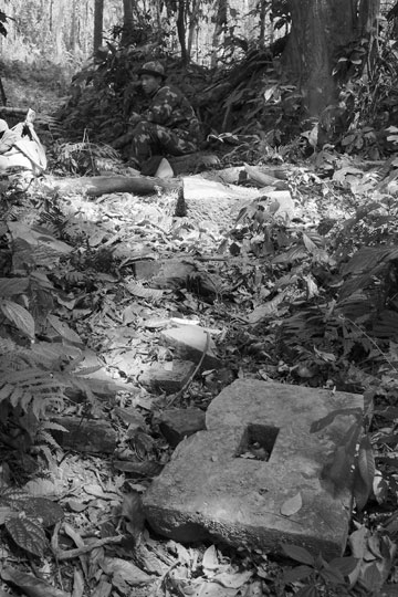 漫撒古樹青餅2013年プーアル茶