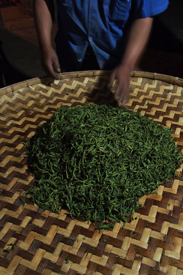 漫撒古樹青餅2013年プーアル茶