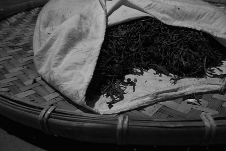 漫撒古樹青餅2013年プーアル茶