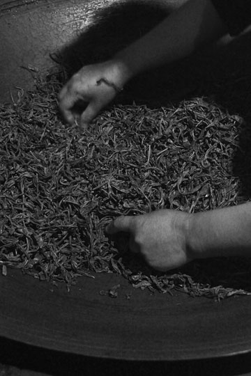 漫撒古樹青餅2013年プーアル茶