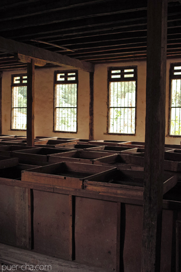 紫・むらさき秋天紅茶2011年