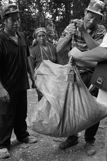 紫・むらさき秋天紅茶2011年