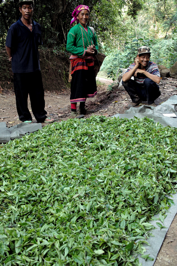 紫・むらさき秋天紅茶2011年