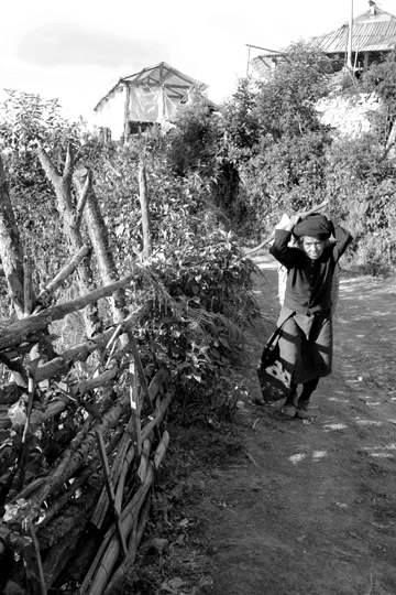 紫・むらさき秋天紅茶2011年