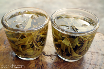 紫・むらさき秋天紅茶2011年