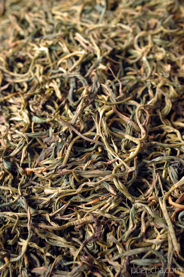 紫・むらさき秋天紅茶2011年