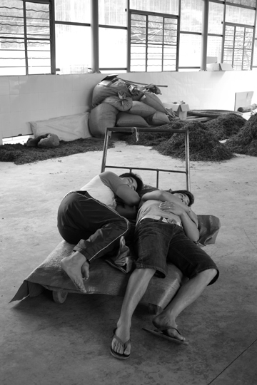 紫・むらさき秋天紅茶2011年