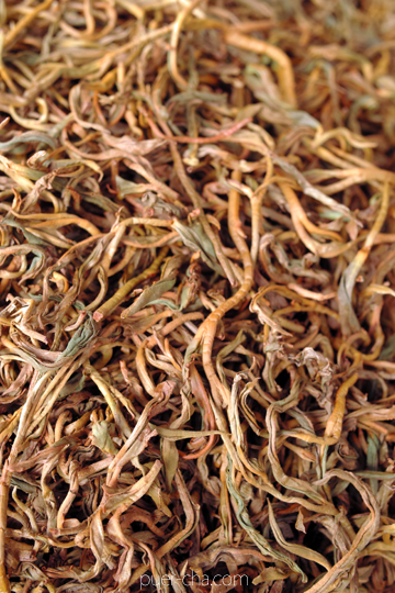 紫・むらさき秋天紅茶2011年