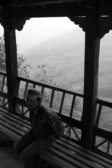 紫・むらさき秋天紅茶2011年