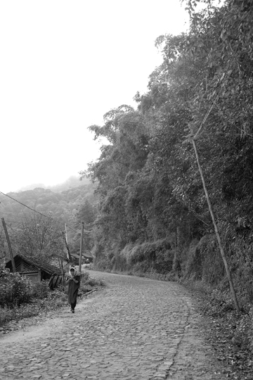 紫・むらさき秋天紅茶2011年