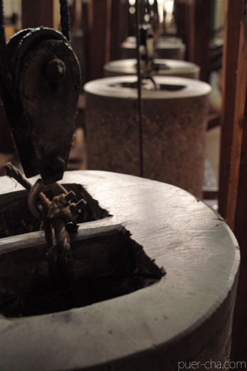 紫・むらさき秋天紅茶2011年