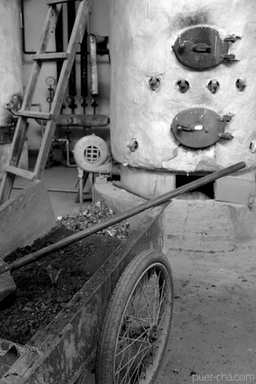 紫・むらさき秋天紅茶2011年