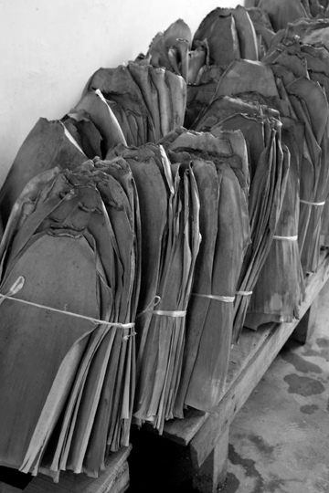 紫・むらさき秋天紅茶2011年