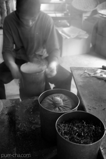 紫・むらさき秋天紅茶2011年