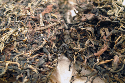 南糯古樹青餅2010年プーアル茶