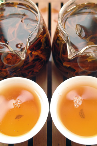 南糯古樹青餅2010年プーアル茶