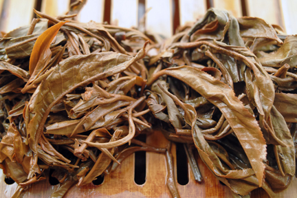 南糯古樹青餅2010年プーアル茶