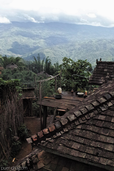 南糯古樹青餅2010年