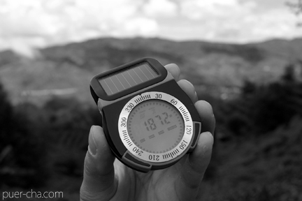 南糯古樹青餅2010年