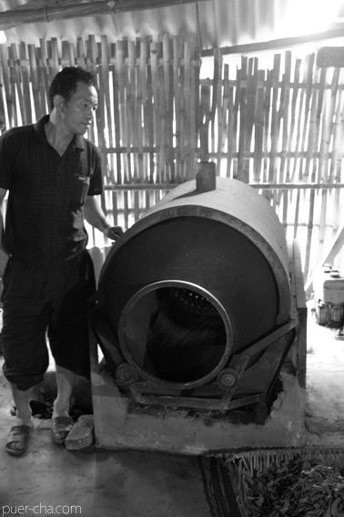 南糯古樹青餅2010年