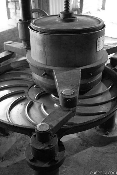 南糯古樹青餅2010年